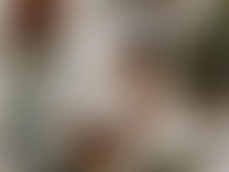 Flat lay of an amber glass spray bottle labelled “Winter Wonderland”, surrounded by pine needles, eucalyptus leaves, and peppermint sprigs. A few scattered snowflake-like salt crystals on a white linen background.