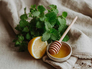 A loose bundle of fresh lemon balm sprigs with their bright green leaves, resting on unbleached linen beside a small ceramic bowl of honey with a wooden dipper and a sliced lemon. 