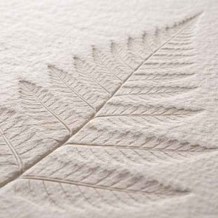 a Botanical Paper Mâché Imprints (Beginner DIY Wall Art)