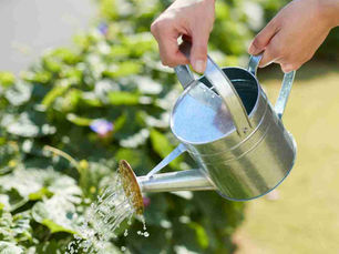 someone holding a watering can and watering plants in the garden
