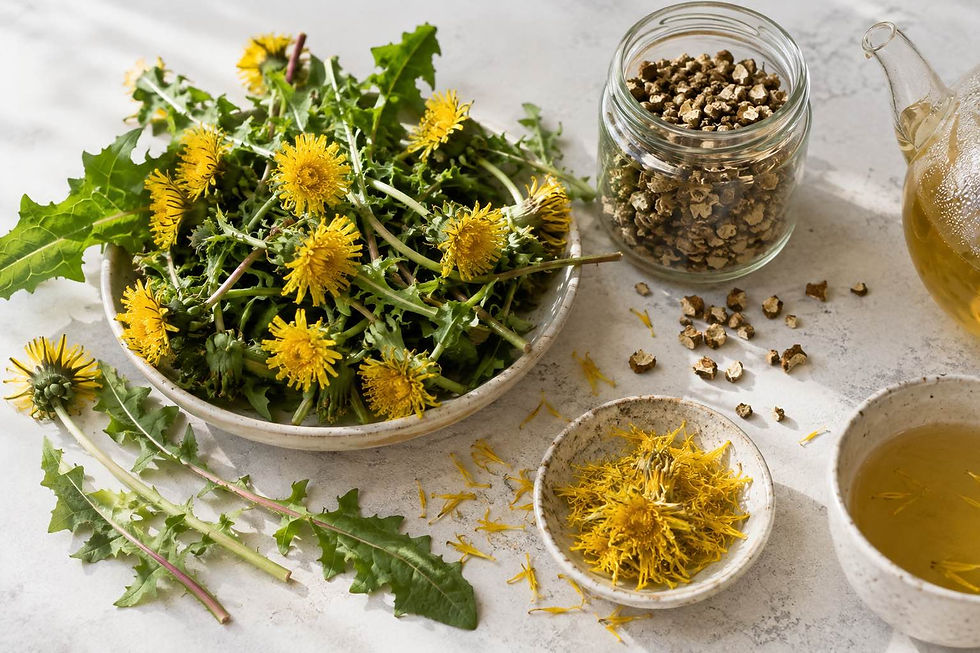 Paardenbloemen en bladeren in kommen, met pot gedroogde wortel en kopjes thee op een lichte tafel.