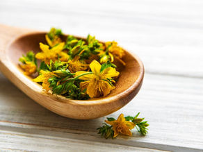 12 Best Herbs to Ease Menopause Symptoms Naturally