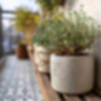 a small balcony with concrete pots with thyme