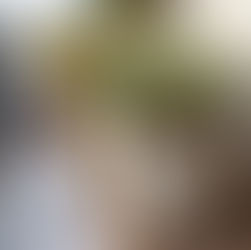 a small balcony with concrete pots with thyme