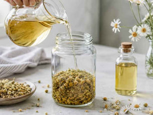 Dried chamomile flowers in a glass jar as golden carrier oil is poured over them to make homemade chamomile-infused oil.