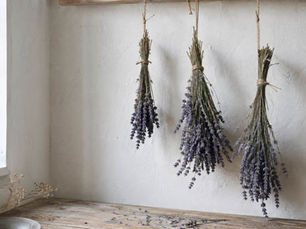 Gedroogde lavendelbundels hangen aan een witte muur boven een houten tafel; rustige, landelijke sfeer.