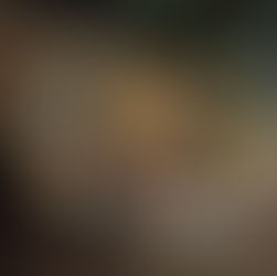 A set of small, handmade aromatic fire starters arranged neatly on a concrete tray. Each fire starter is unique, made with natural wax and decorated with dried herbs, flower petals, citrus slices, and spices.