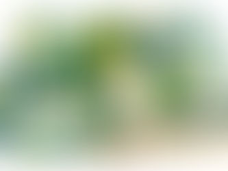 A Stage-by-Stage Guide to Nutritional Needs During Menopause