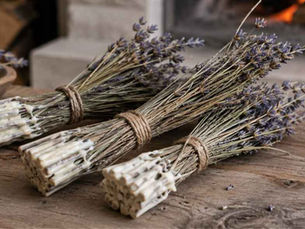 Dried lavender stem bundles tied with twine, with the cut ends dipped in natural wax, ready to use as homemade fire starters.