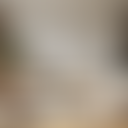 Eye-level view of a serene minimalist living room