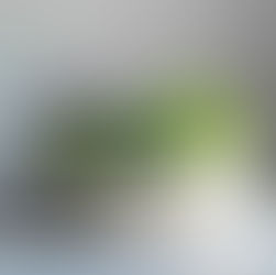 a large concrete bowl filled with fresh herbs like lavender, lemon balm, rosemary in clean bright light space