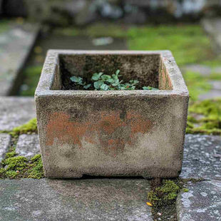 How to Remove 10 Common Stains on Concrete Using Eco-Friendly Methods