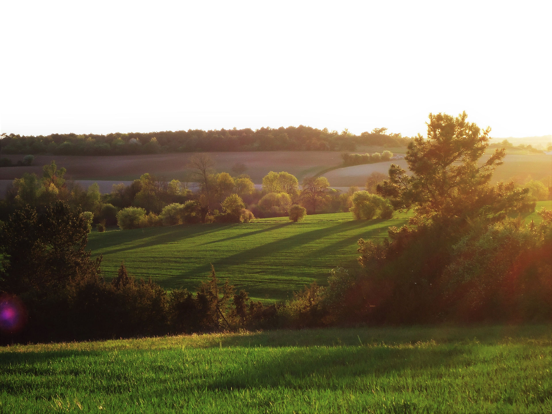 Photo of long shadows at dusk.
