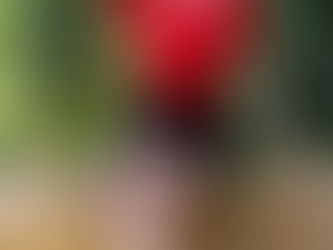 Spring Fever with Collectif Clothing