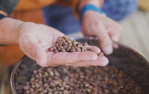 ビンクロコーヒー