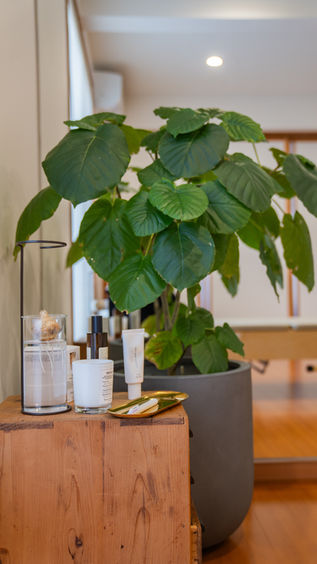 上越市マシンピラティス、ピラティス、健康、体幹トレーニング、プライベートサロン、