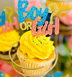 gender reveal.jpg