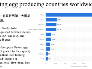有数有据：雞蛋