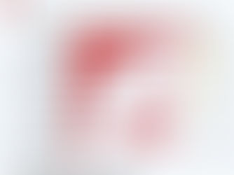 有数有据：