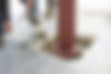 grouting.jpg