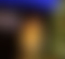 Parades, Tree Lightings and Holiday Events this Christmas in Gaston County, NC