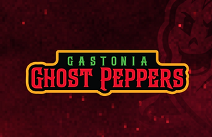 Spectator Sports in Gaston County North Carolina