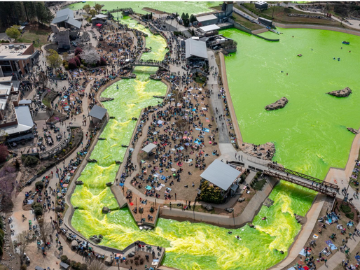 Green River Revival and the Color Me Green 5K make St Patrick's Day outdoor fun at Whitewater Center