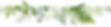 herbs-clipart-fern-10 - cropped.jpg