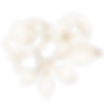 g (6)_web.png