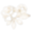 g (6)_web.png