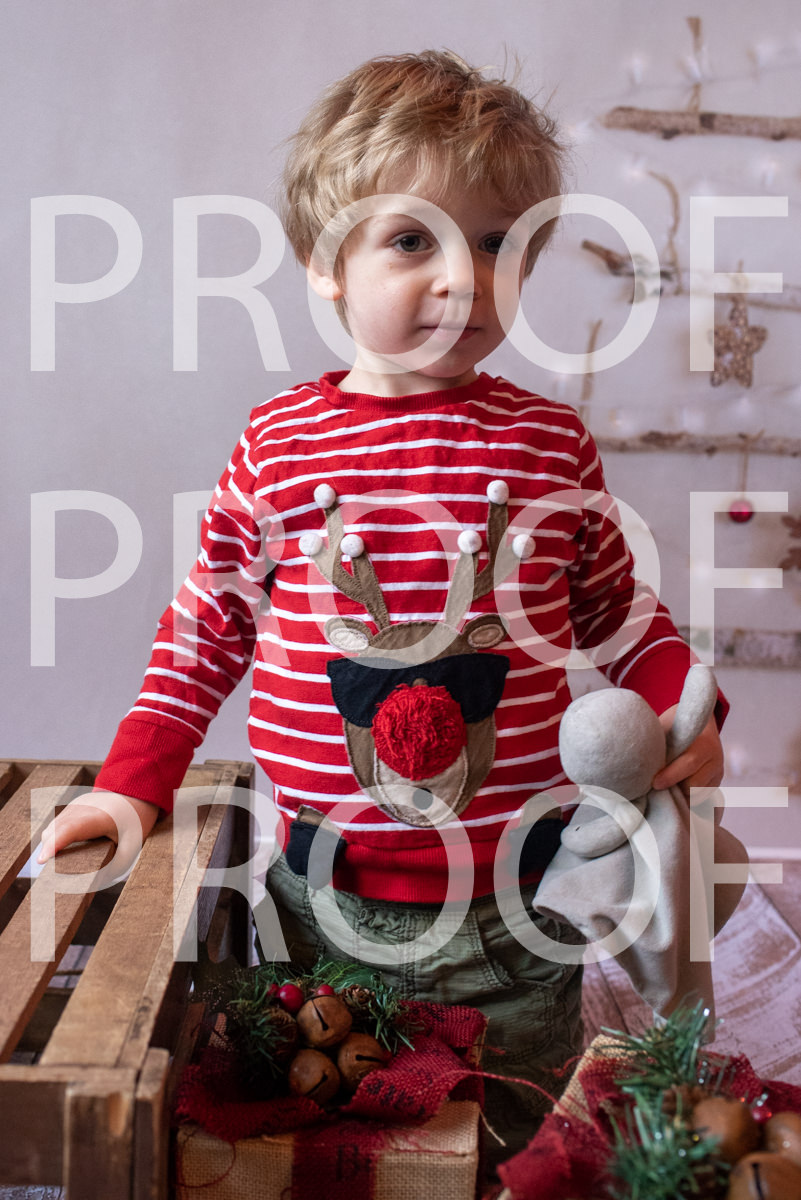 Hartbeeps Christmas-009