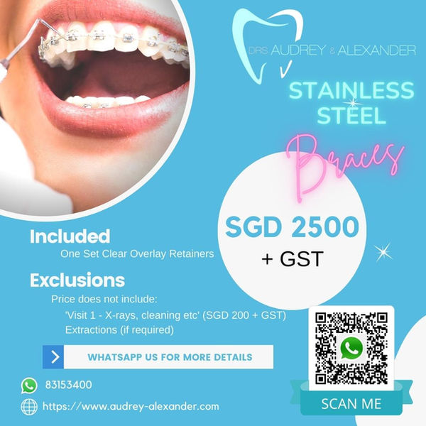 STAINLESS STEEL BRACES 2675 wix.jpg