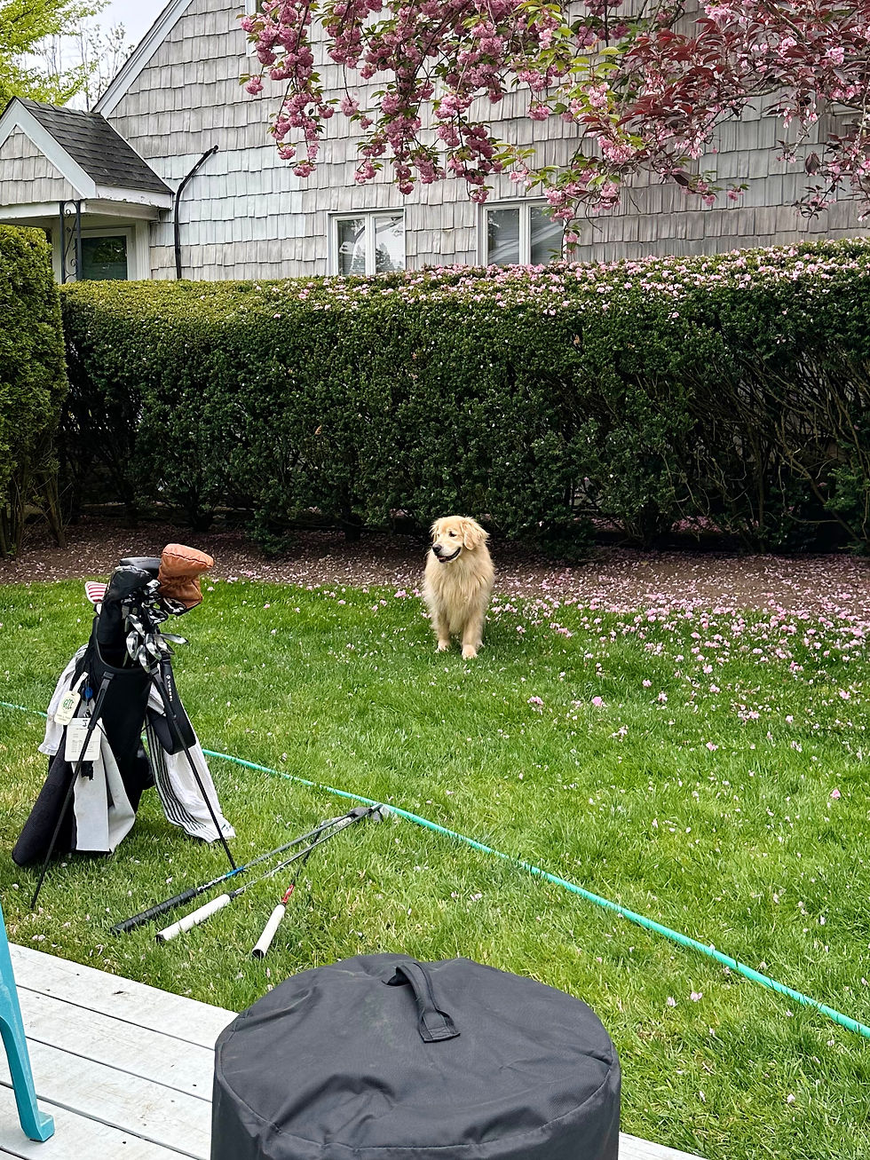 Let’s Trade Spaces