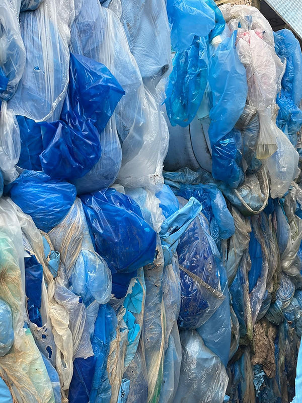 pp sacks.jpg
