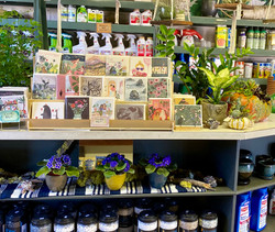 Shore Gardens Nursery