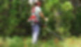 Shindaiwa F&D gUANACASTE tALLER DE SERVICIO