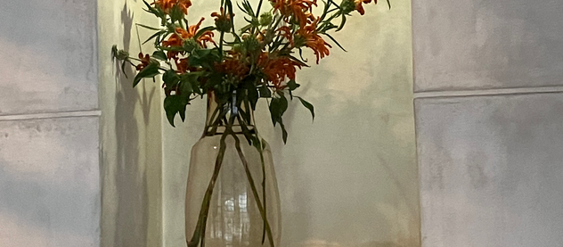 エッセイの朗読について【4連載・3回目】