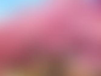 文学作品の幸せな受け取りかた：「朗読」という読書法の提案③ 〜文学作品を幸せに享受するために〜