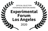 OFFICIAL SELECTION HONORABLE MENTION AWARD - Experimental Forum L