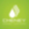 Cheney Energy Logo