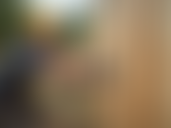 Finding the Best Fence Company Near You