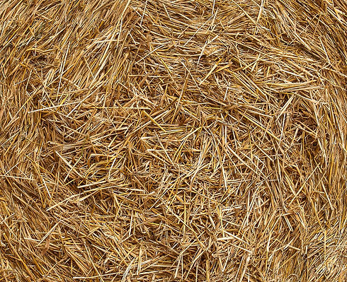 straw-4327257_1920.jpg