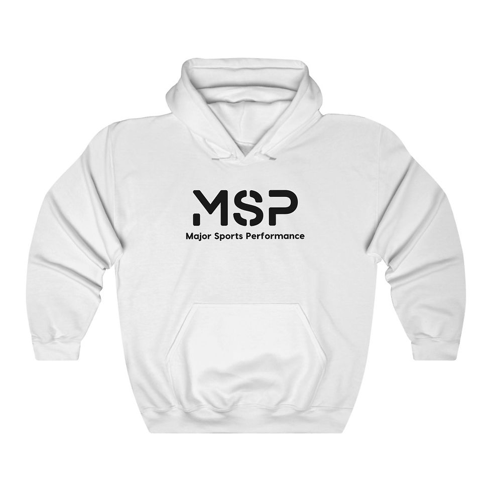 MSP Hoodie (Black Logo)