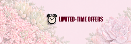 limited-time-offers-clock-left.png