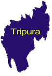 A New Design (12).png