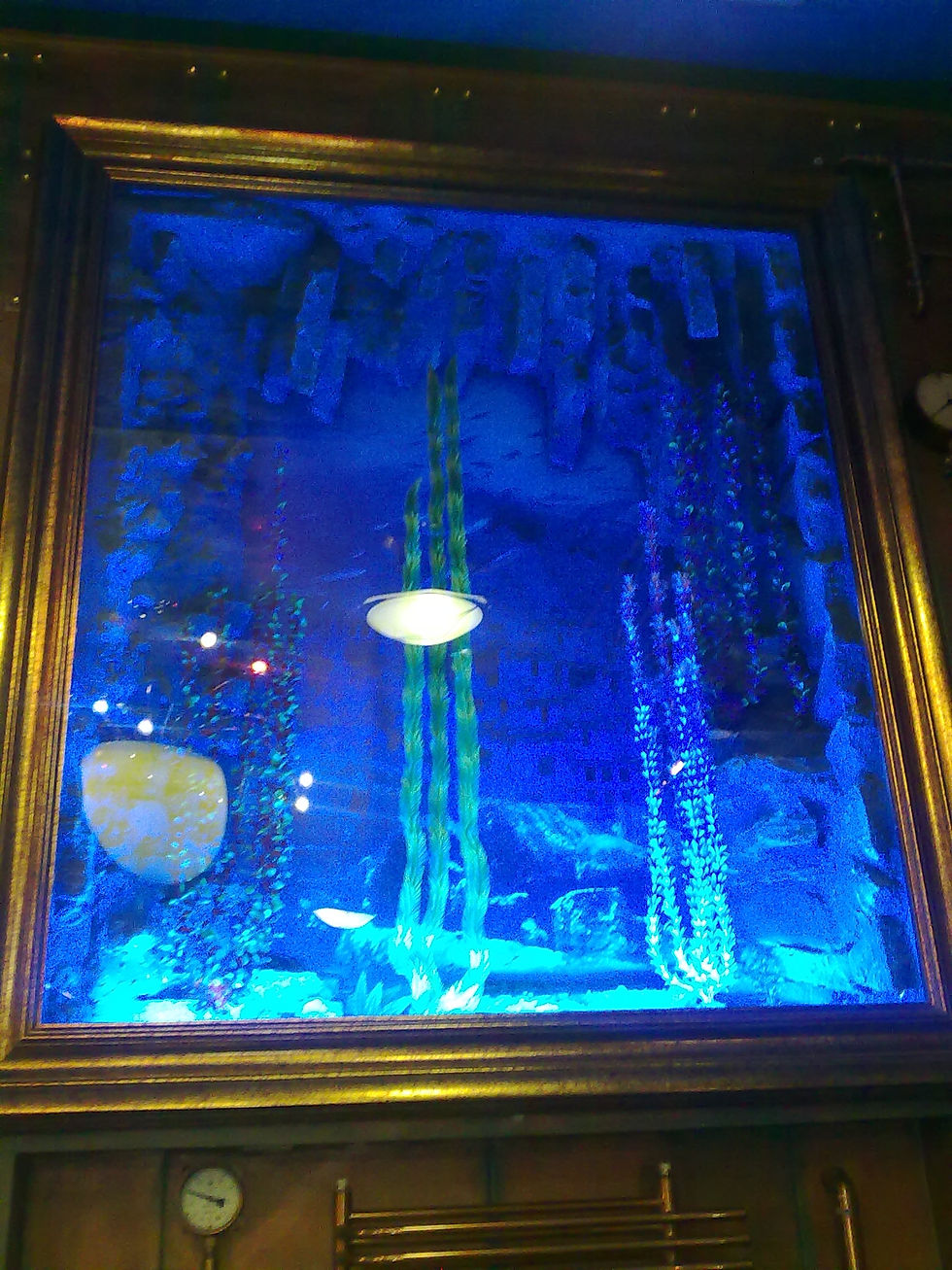 12012010253.jpg