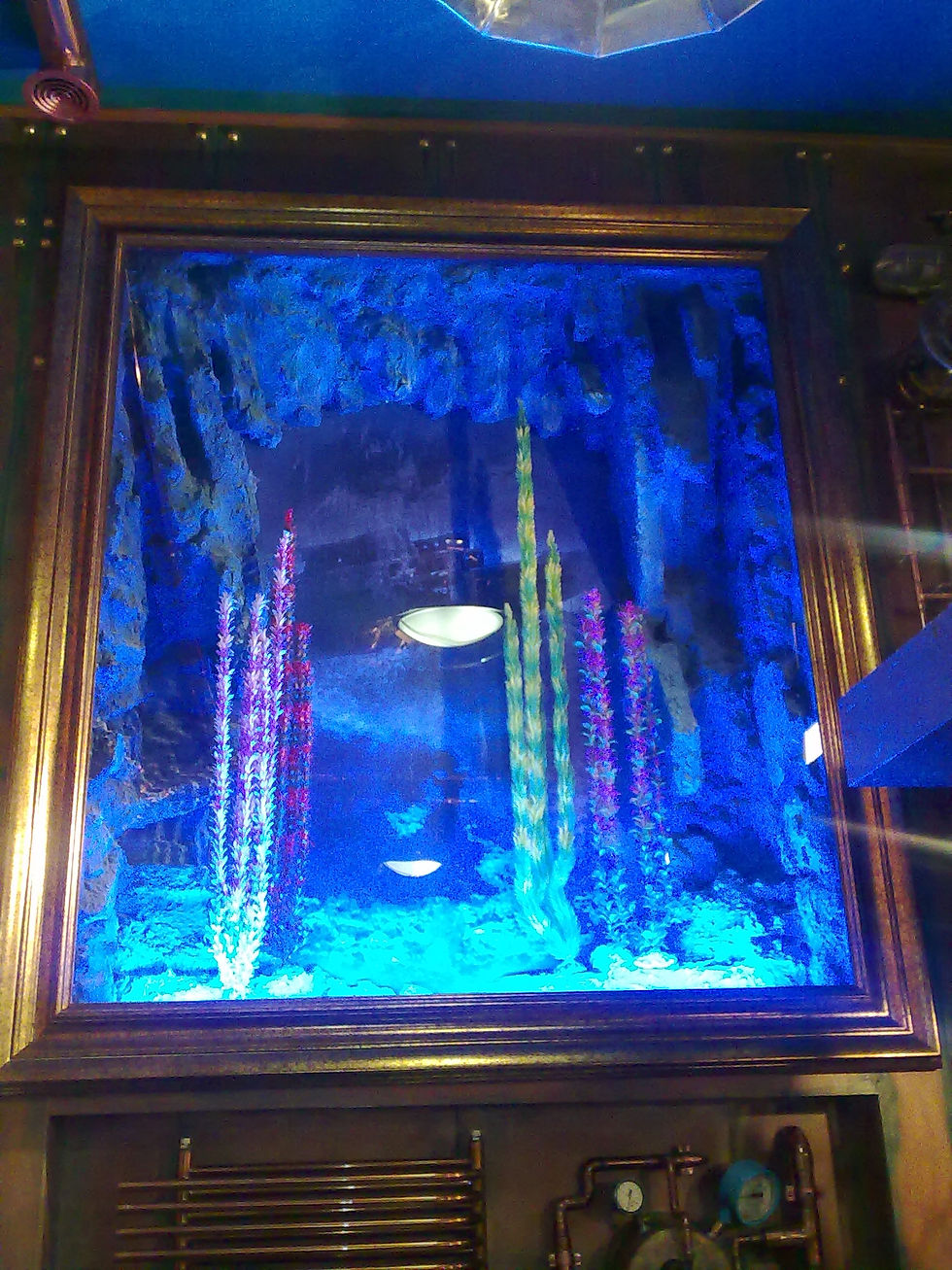 12012010252.jpg