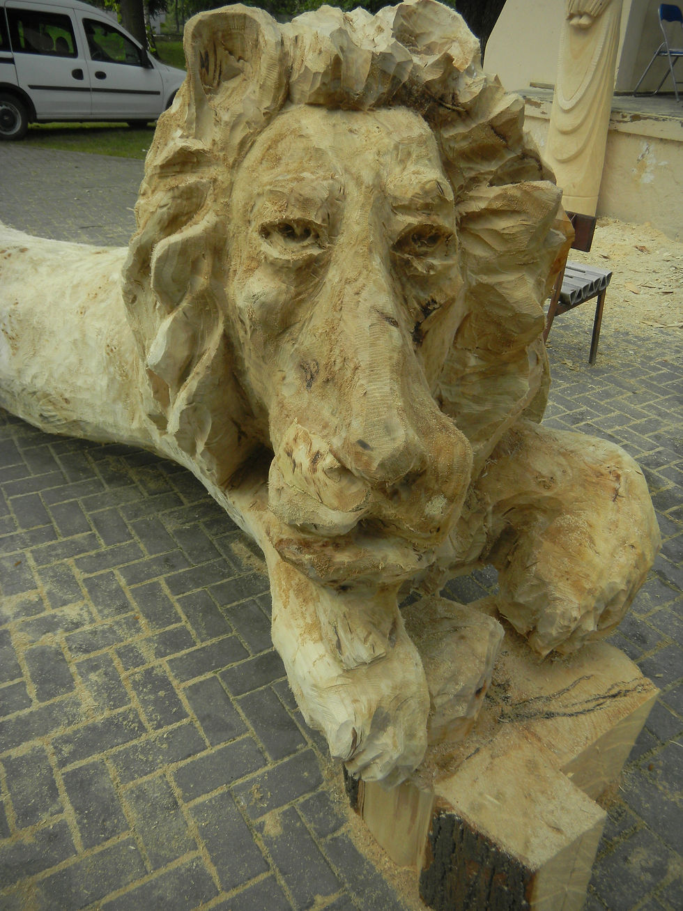 DSCN2709.JPG