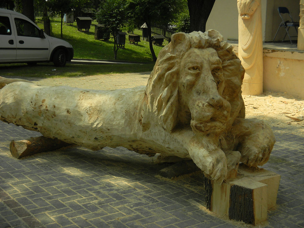 DSCN2716.JPG