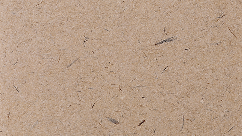 Beige Marron Minimaliste Rapport de Stage Présentation.png